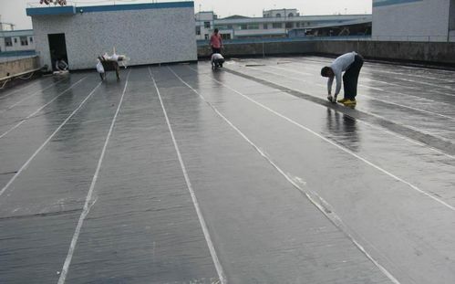 如何鑒定防水卷材和防水涂料的質量？簡單幾招保障防水效果